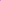 Ari Fucsia