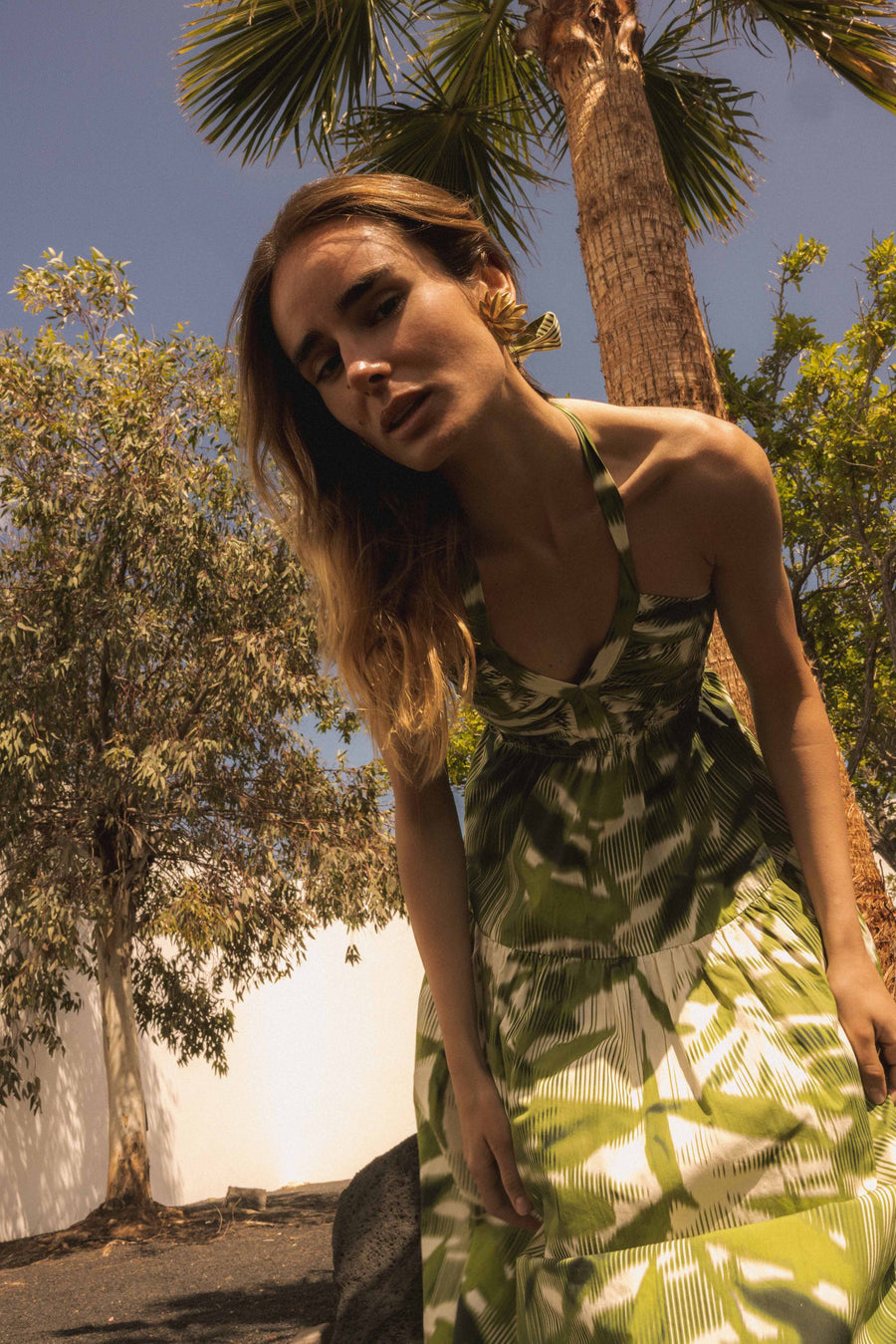 Janira Sucre Verde